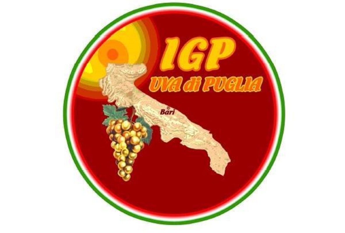 Logo ufficiale IGP